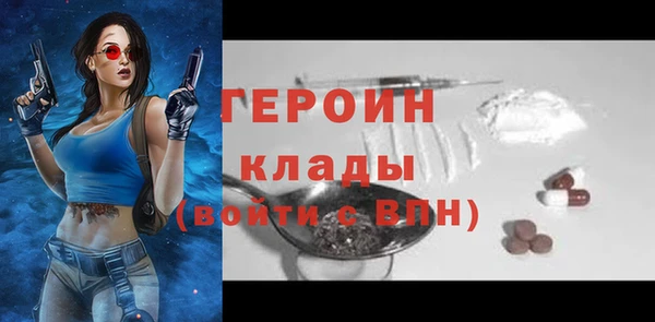сатива Беломорск