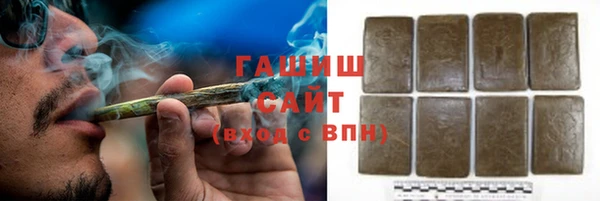 сатива Беломорск