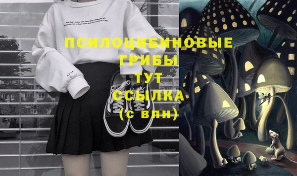 сатива Беломорск