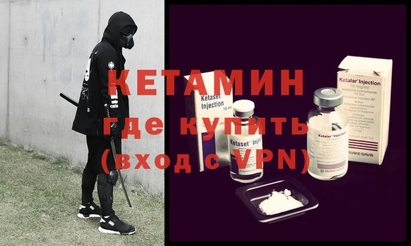 сатива Беломорск