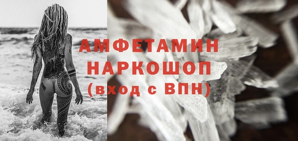 сатива Беломорск