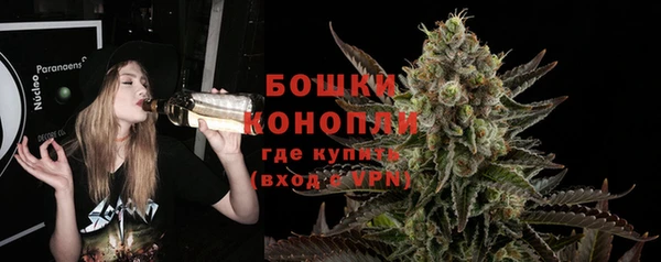 сатива Беломорск