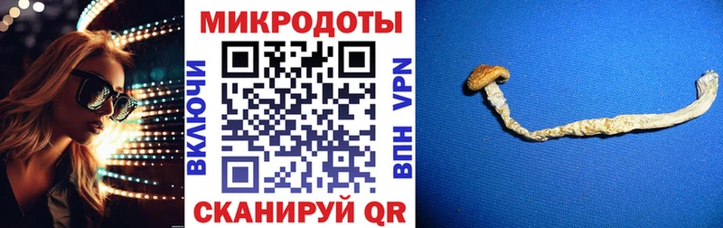 Псилоцибиновые грибы Psilocybe  Свободный 