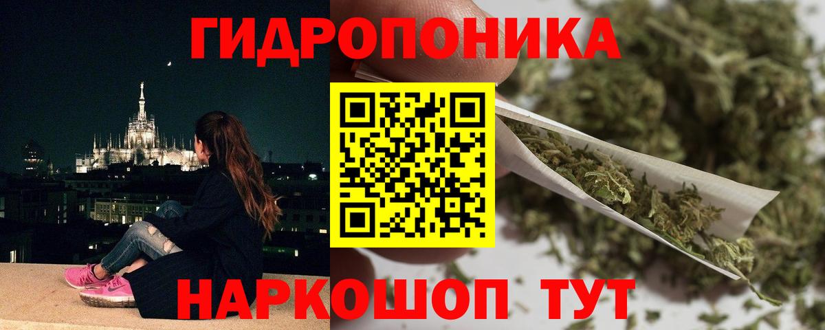Канабис семена Свободный